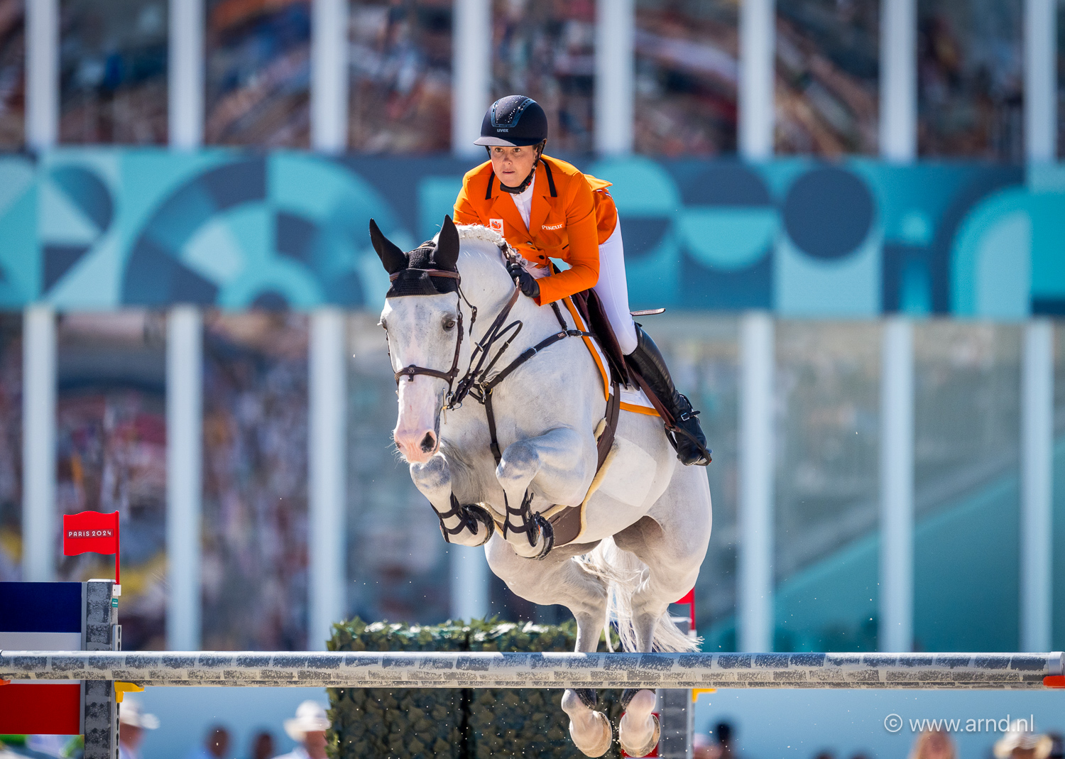 Springpaard Imagine vastgelegd door Stichting N.O.P.